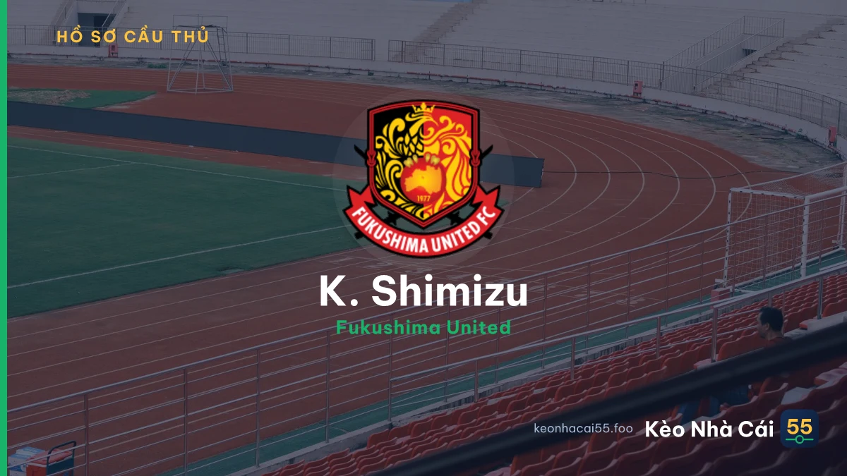 K. Shimizu
