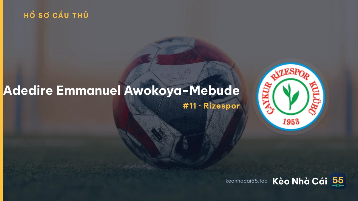 Adedire Emmanuel  Awokoya-Mebude