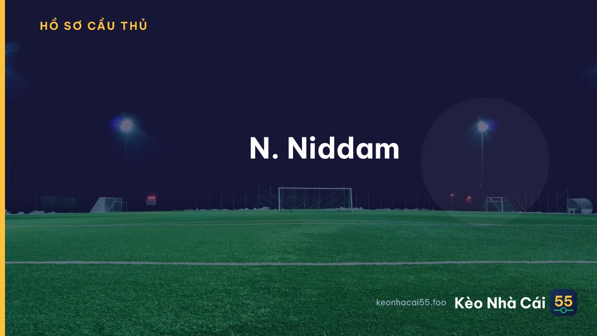 N. Niddam