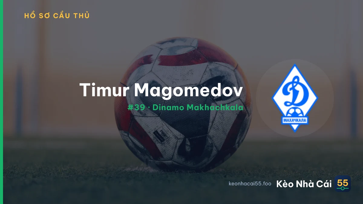 T. Magomedov