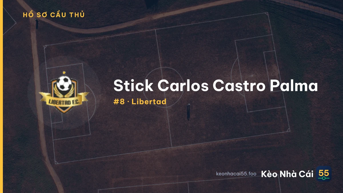 Stick Carlos Castro Palma