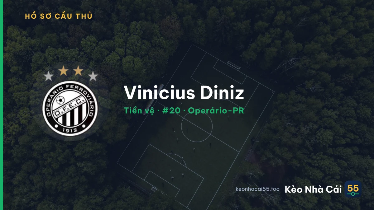 Vinícius Diniz