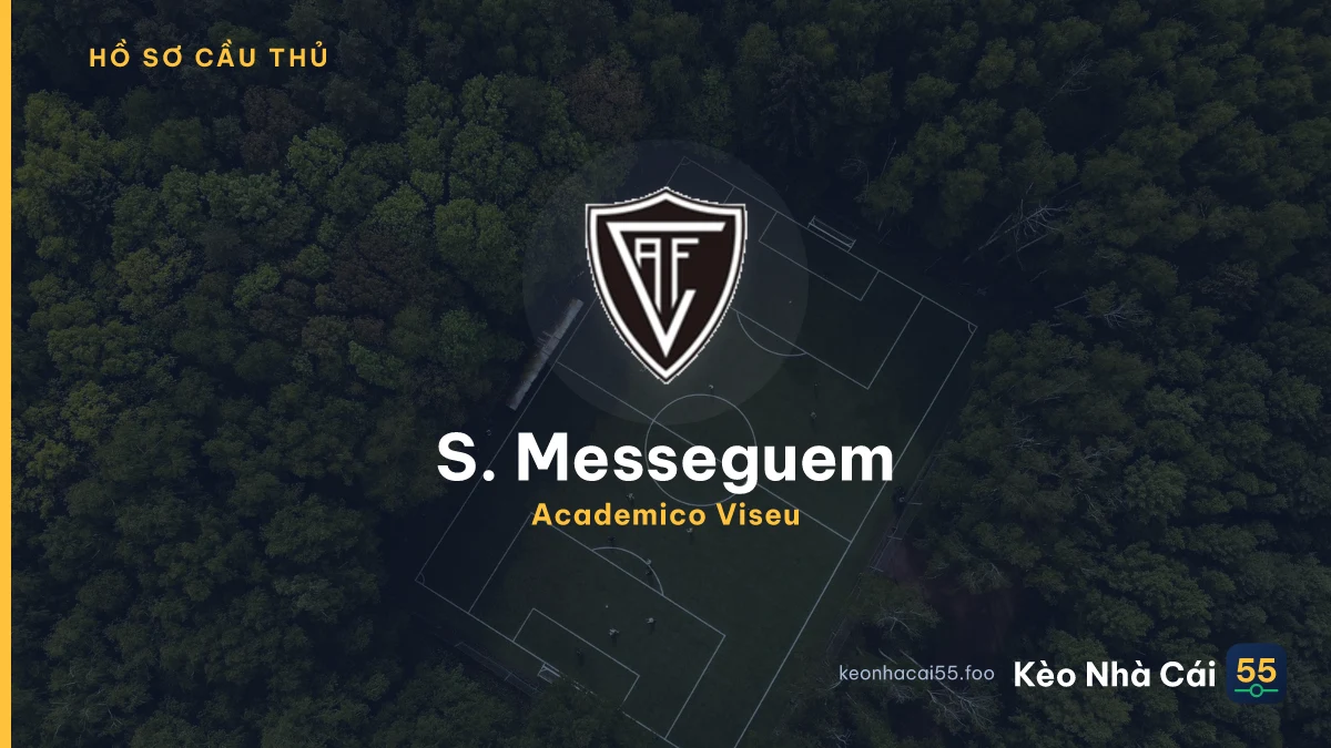 S. Messeguem