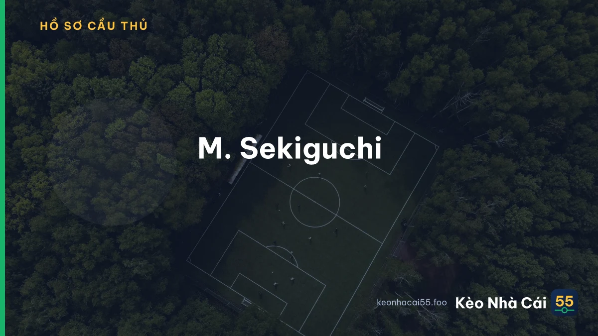 M. Sekiguchi