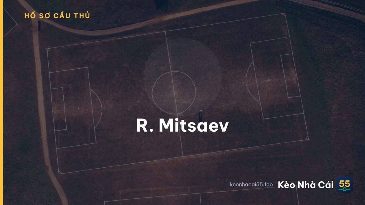 R. Mitsaev