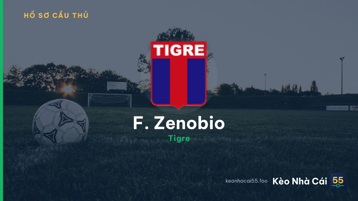 F. Zenobio — Tigre