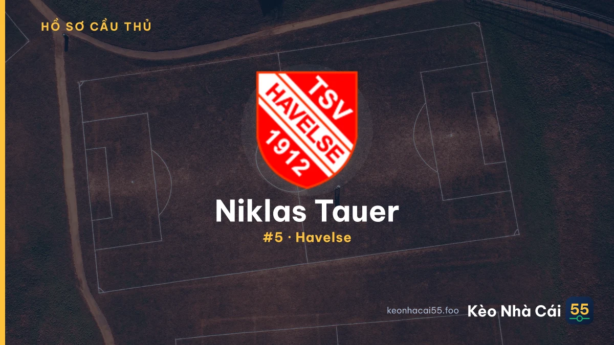 Niklas Tauer — Havelse