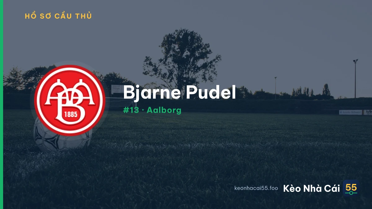 B. Pudel — Aalborg