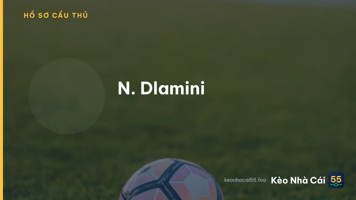 N. Dlamini