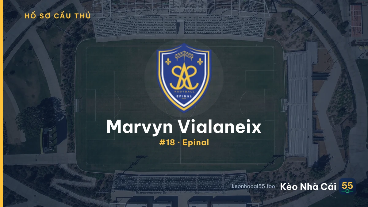 M. Vialaneix — Epinal