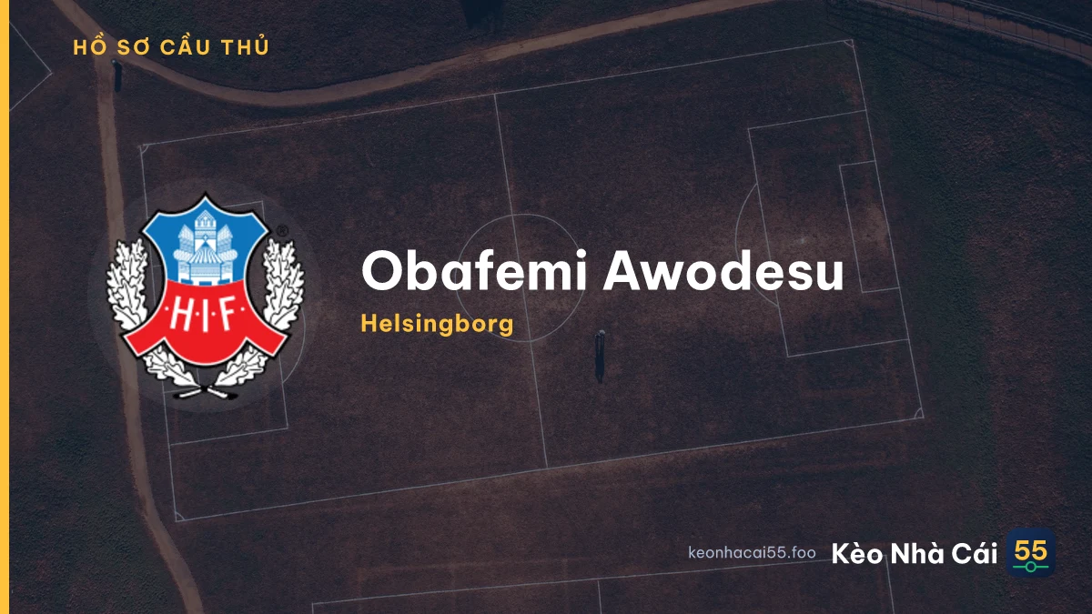 Obafemi Awodesu