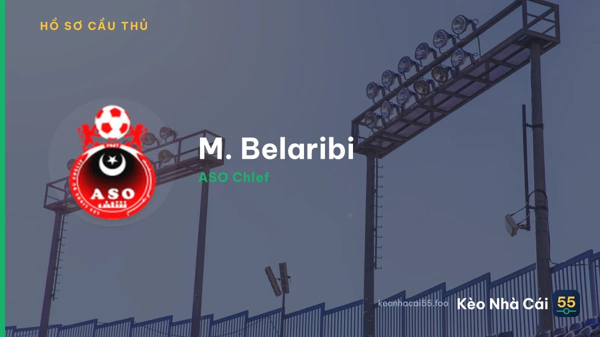 M. Belaribi
