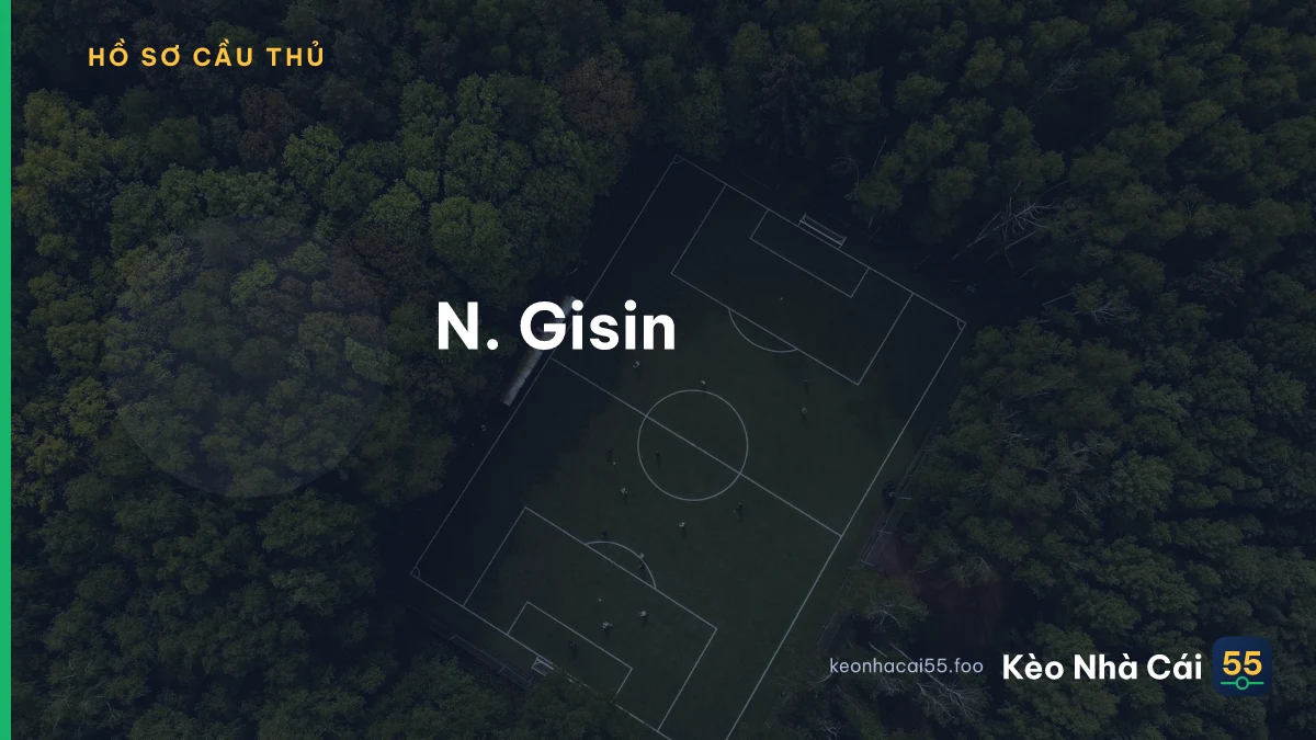 N. Gisin