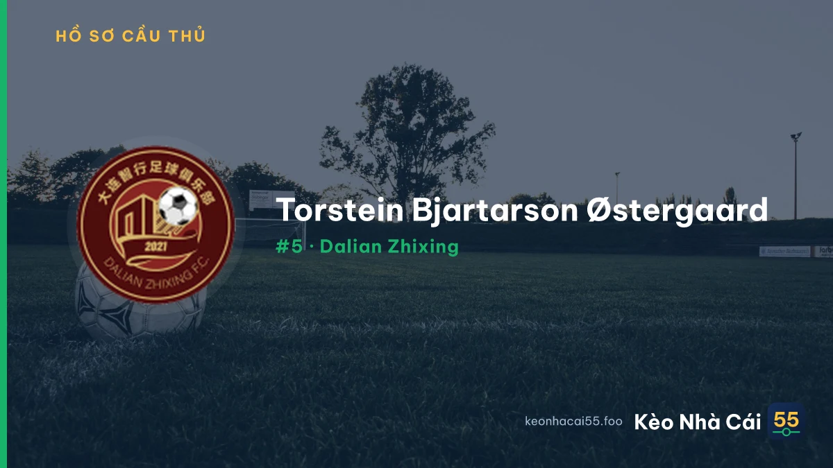 Torstein Bjartarson Østergaard — Dalian Zhixing