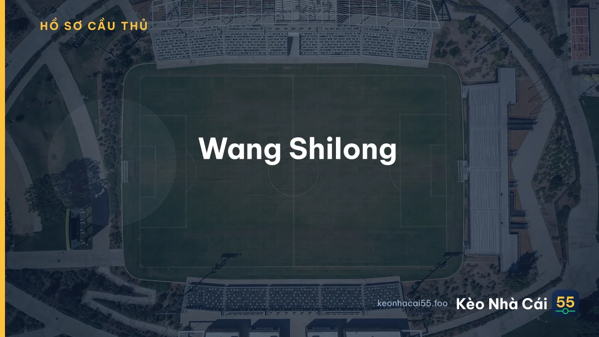 Wang Shilong