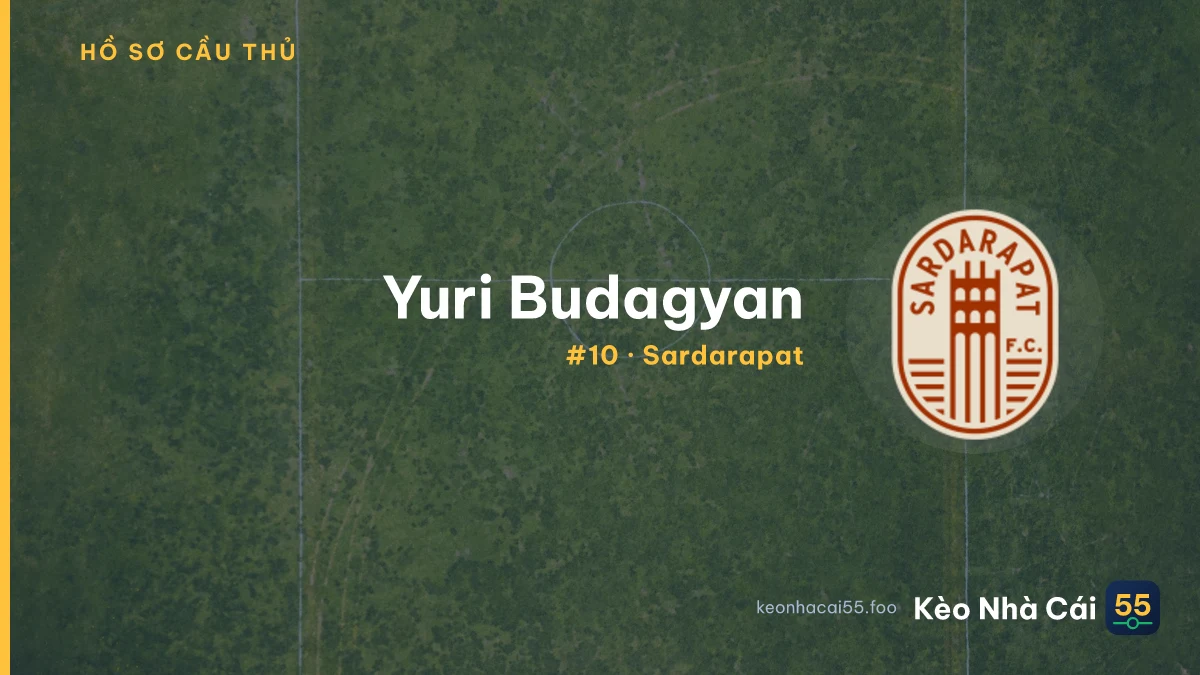 Y. Budagyan