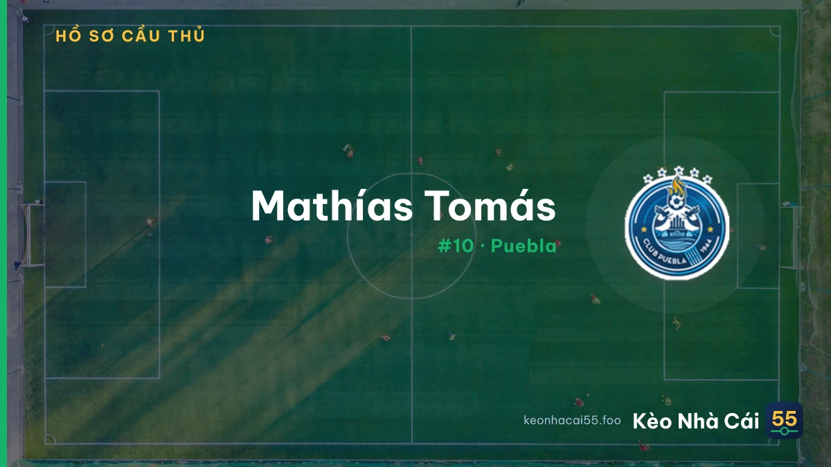 M. Tomás