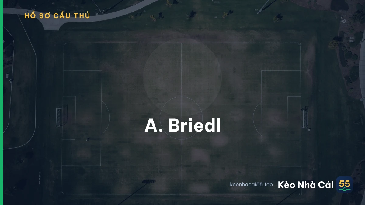 A. Briedl