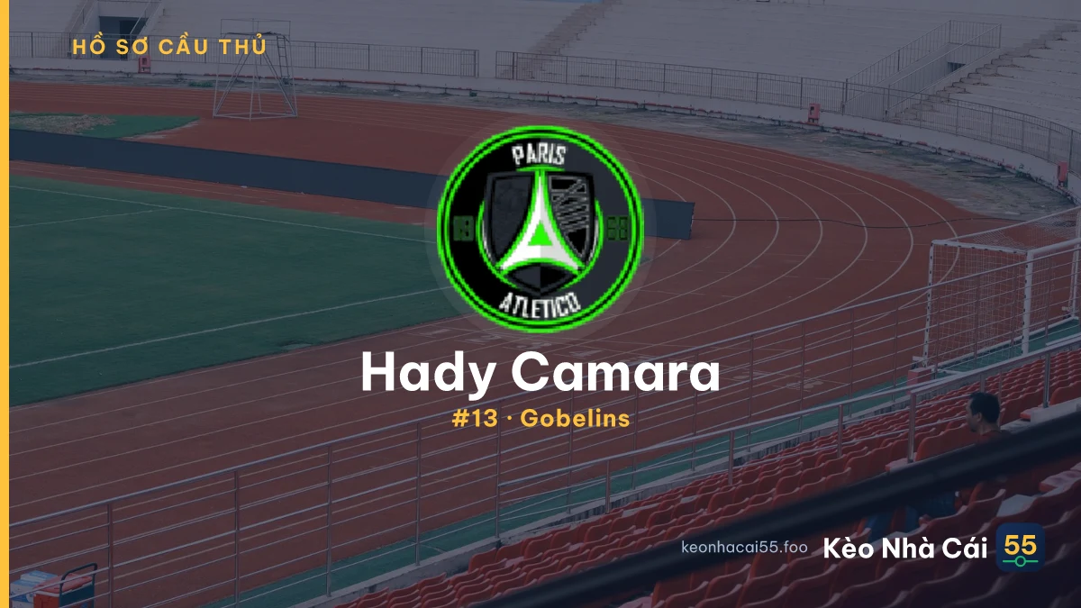 Hady Camara — Gobelins