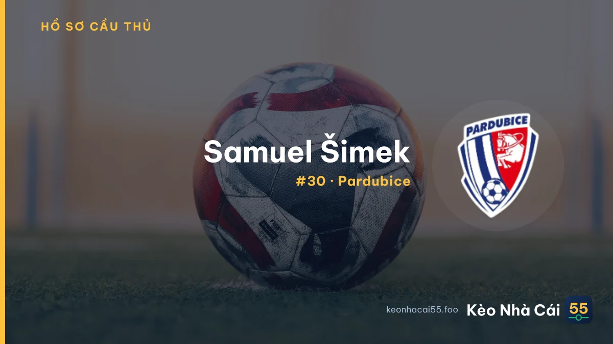 S. Šimek