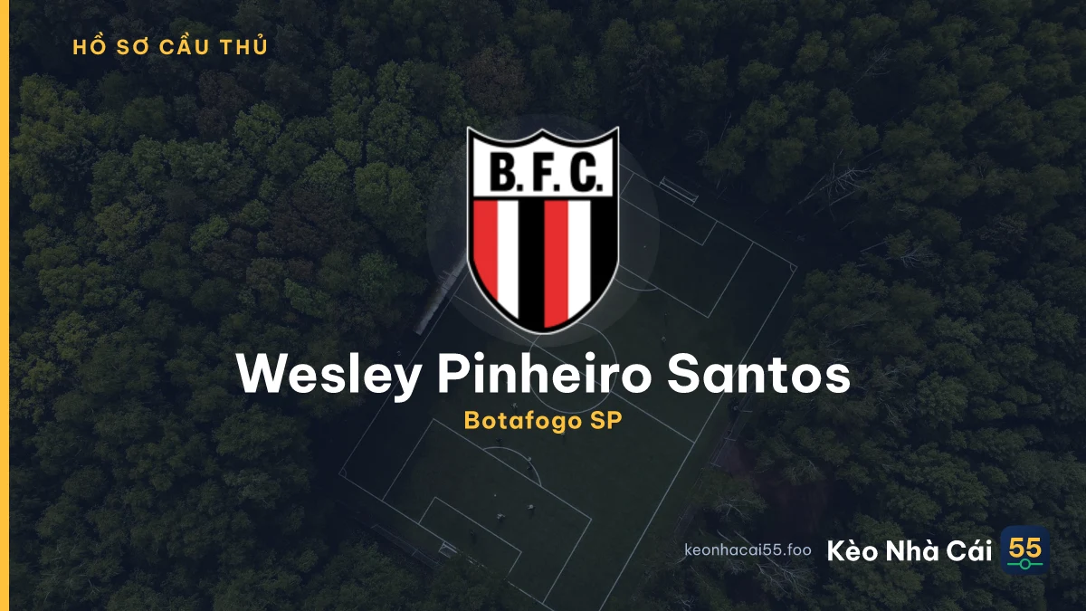 Wesley Pinheiro Santos