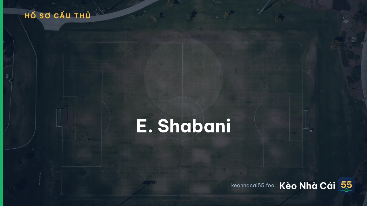 E. Shabani