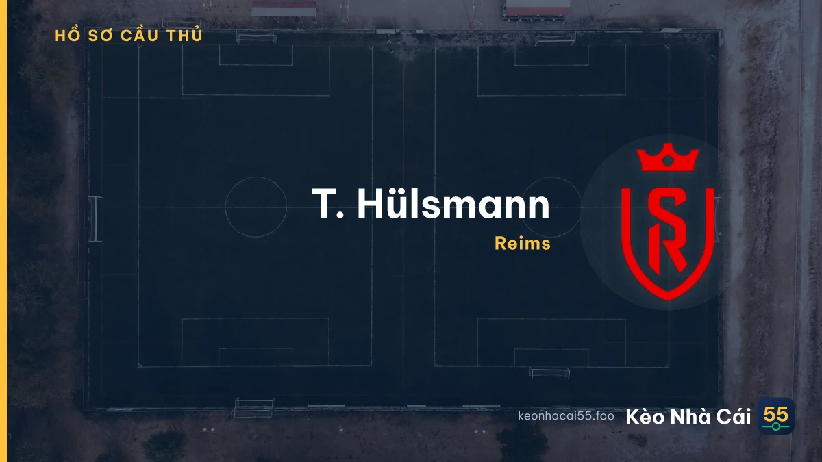 T. Hülsmann