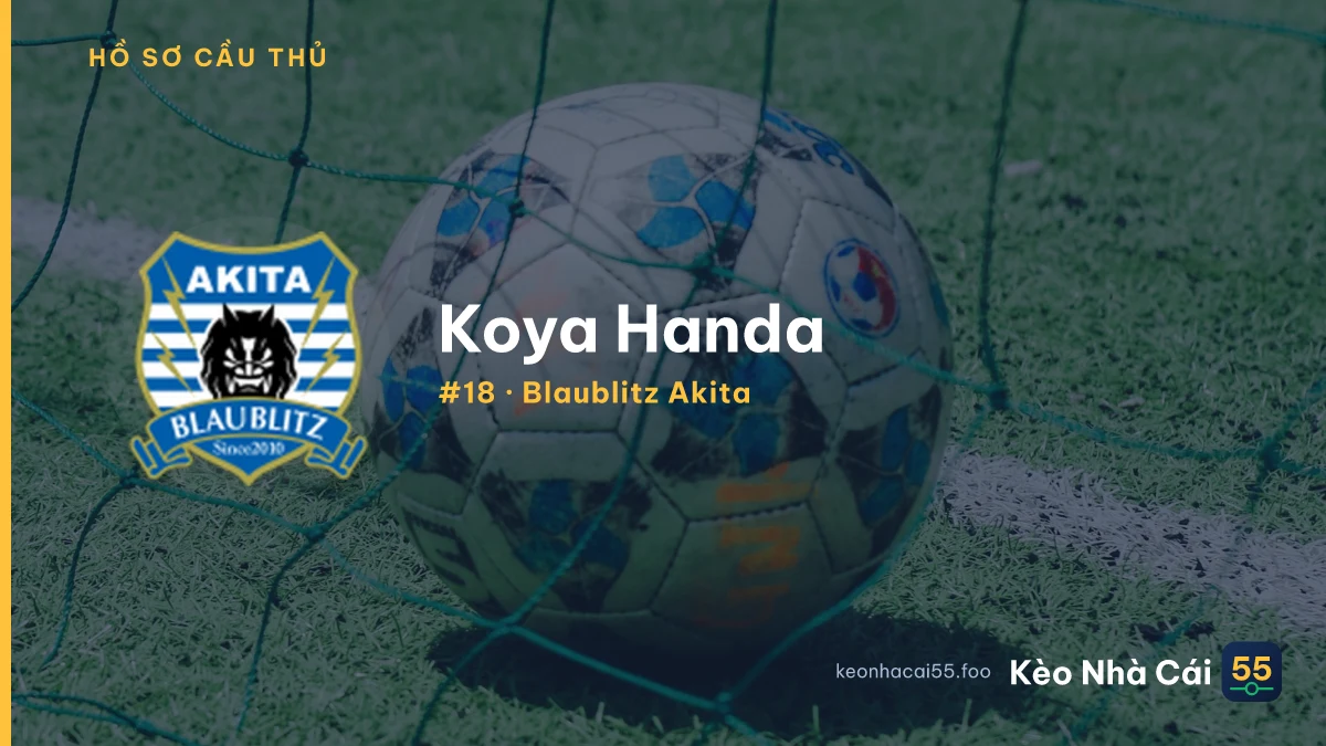 K. Handa