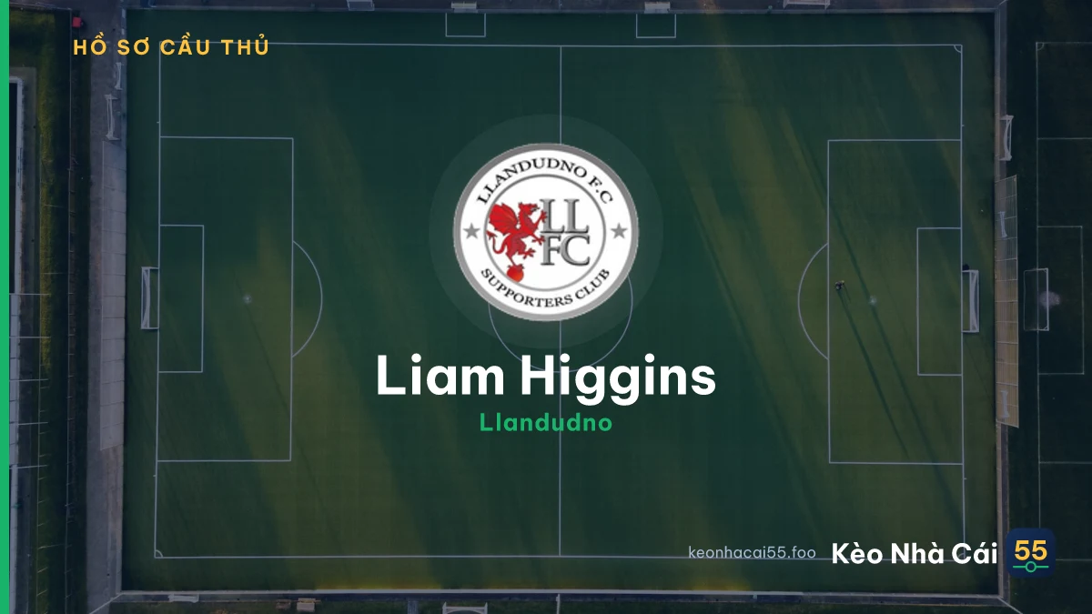 Liam Higgins — Llandudno