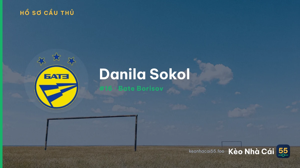 D. Sokol