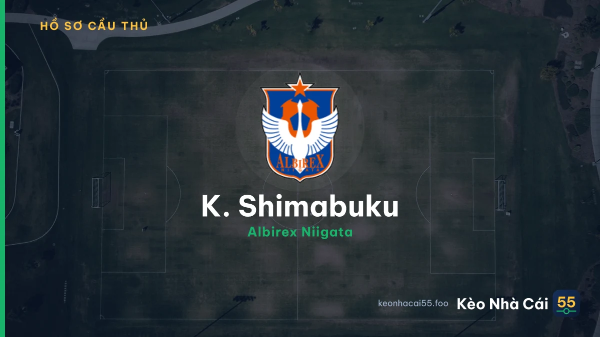 K. Shimabuku