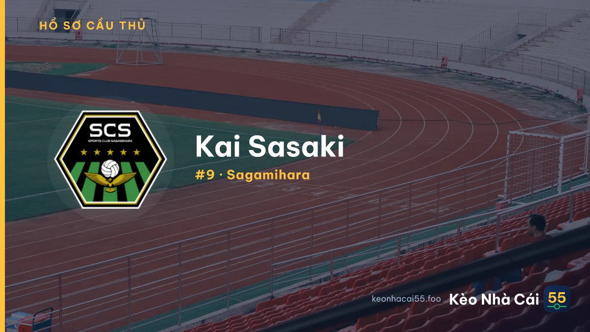 K. Sasaki