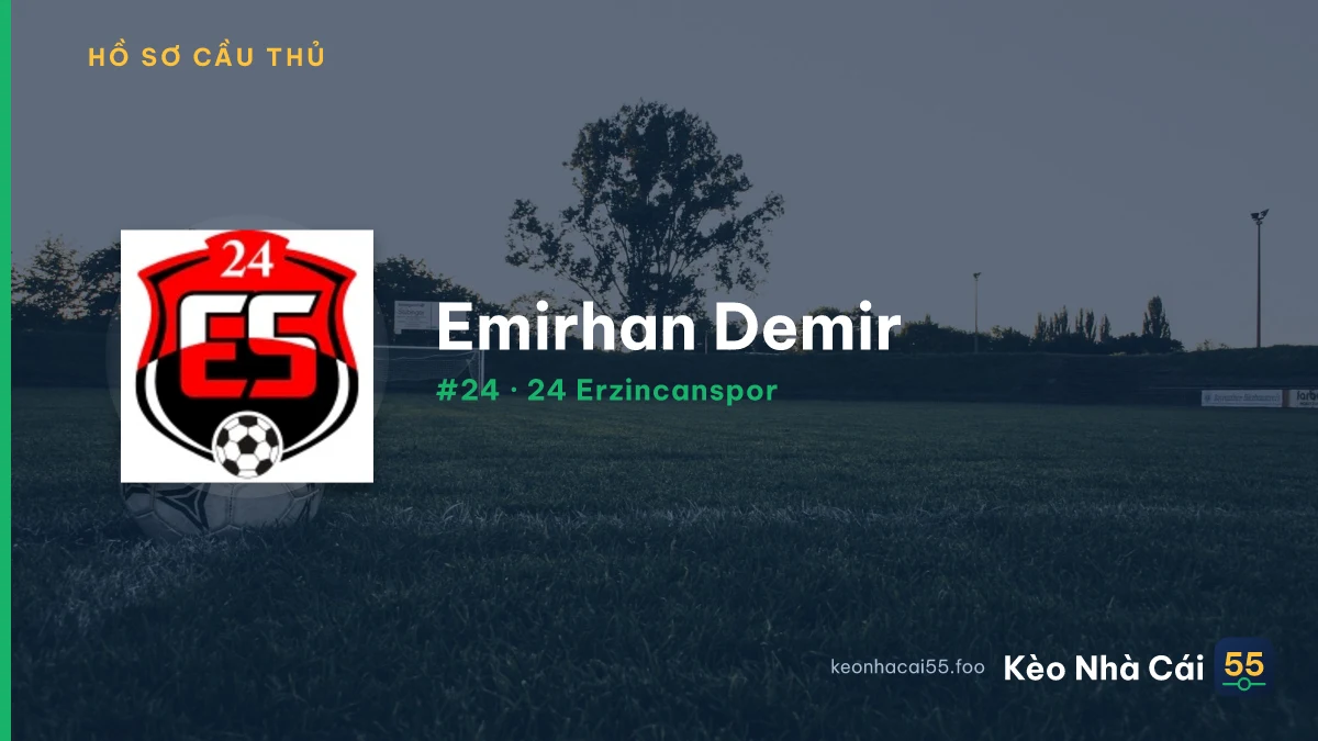 E. Demir