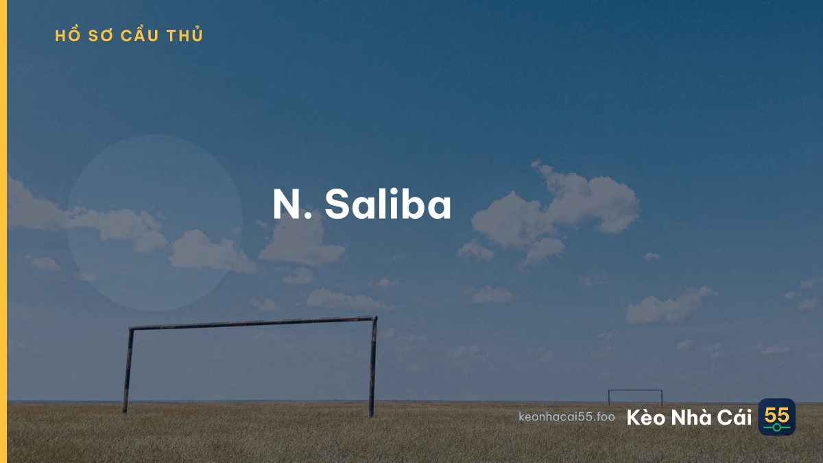 N. Saliba