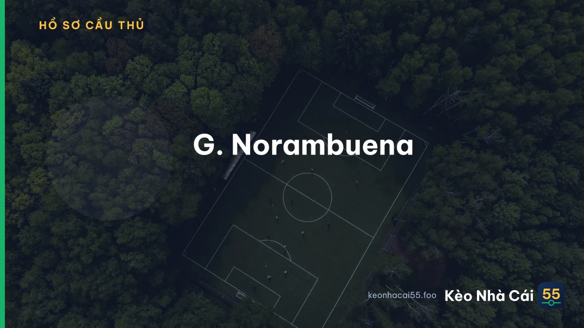 G. Norambuena