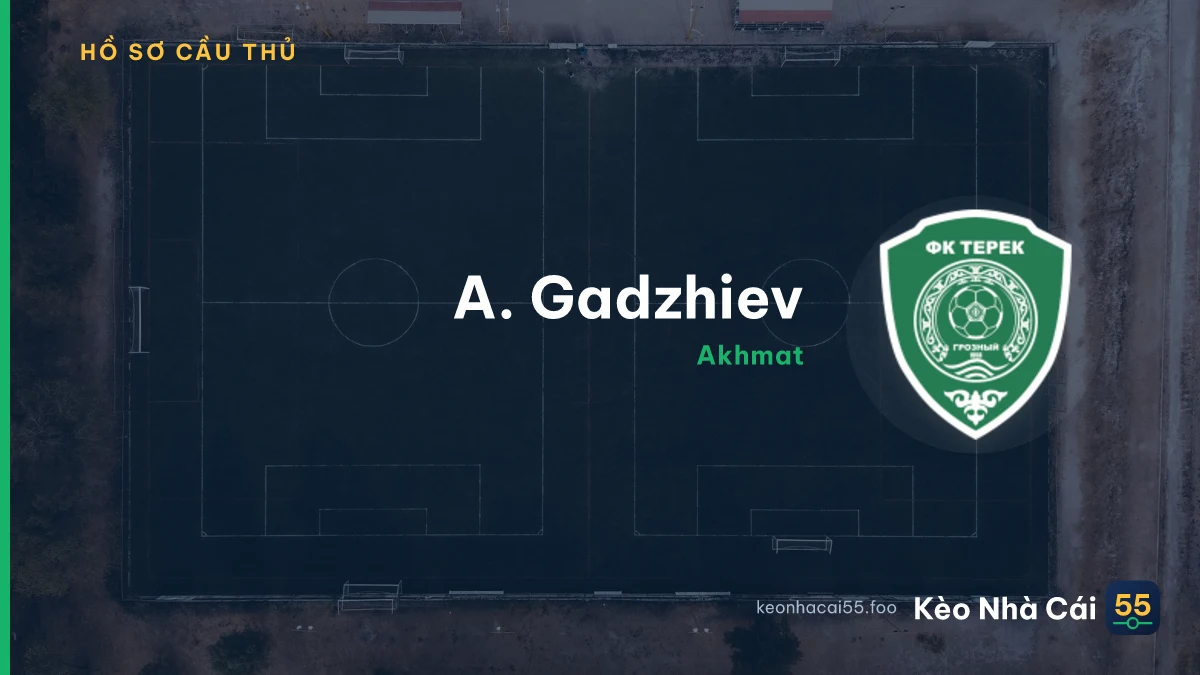 A. Gadzhiev