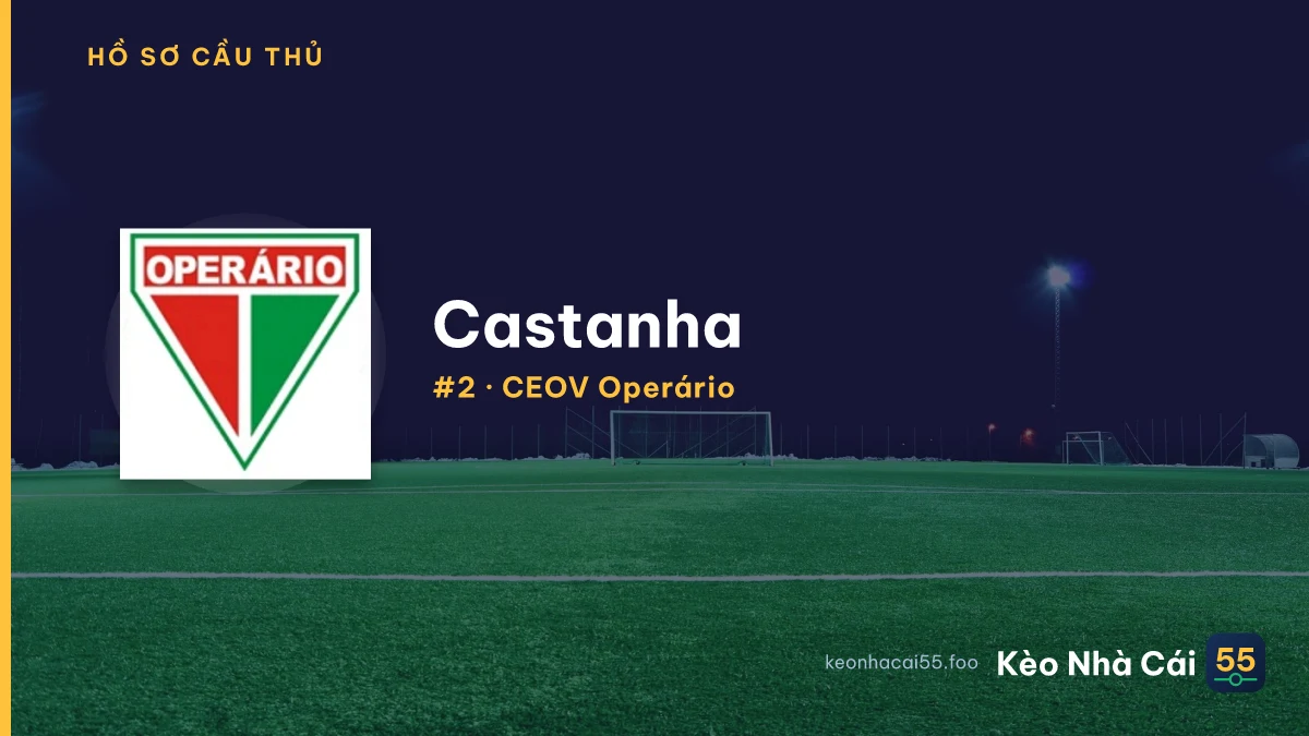 Castanha