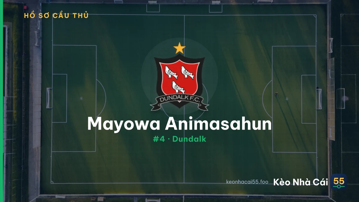 Mayowa Animasahun — Dundalk