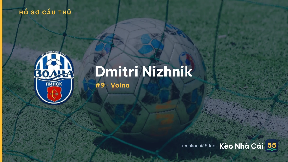 D. Nizhnik