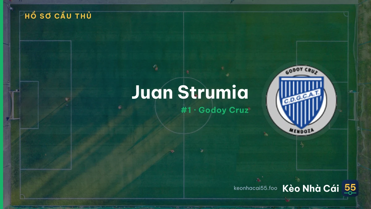 J. Strumia
