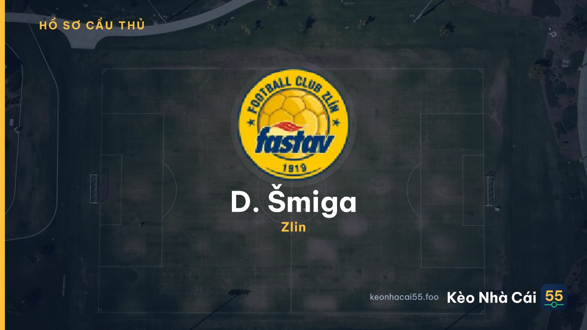 D. Šmiga — Zlin
