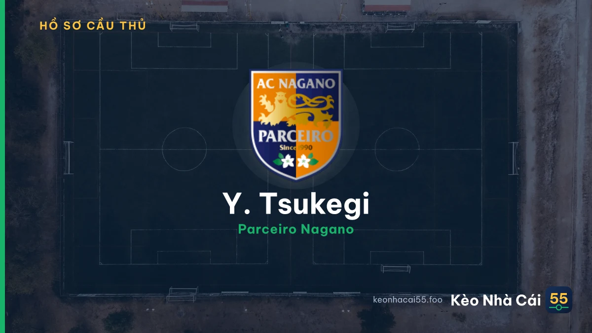 Y. Tsukegi