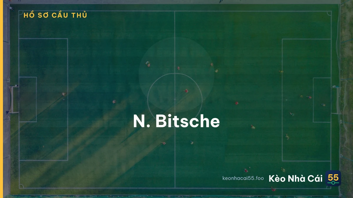 N. Bitsche