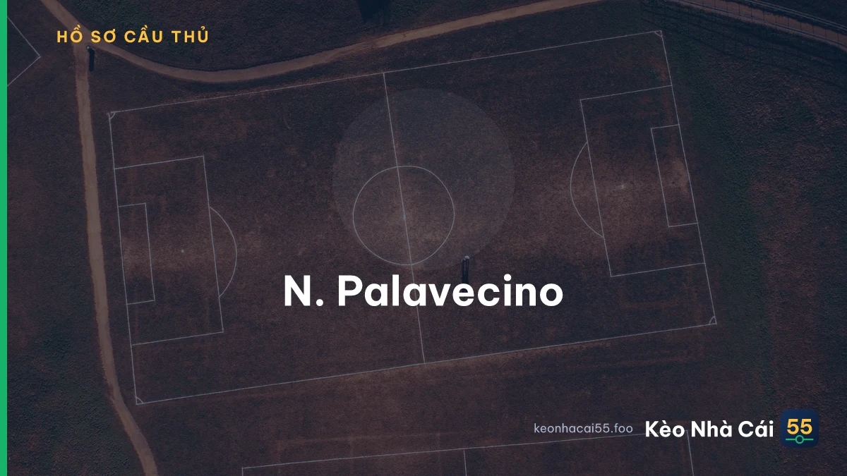 N. Palavecino