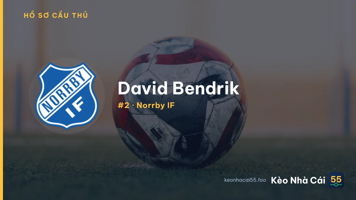 David Bendrik — Norrby IF