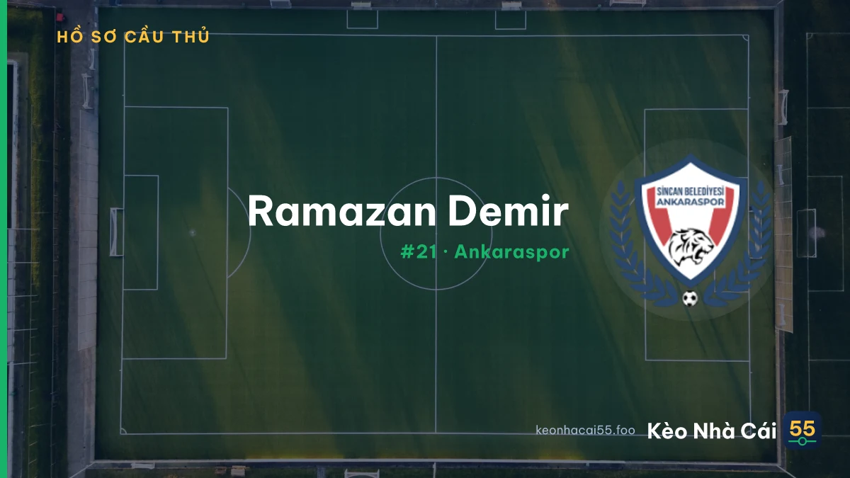 R. Demir