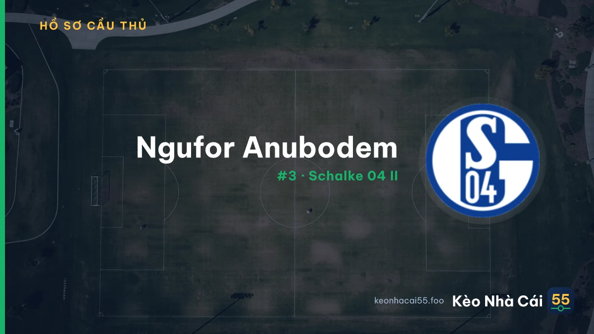Ngufor Anubodem — Schalke 04 II