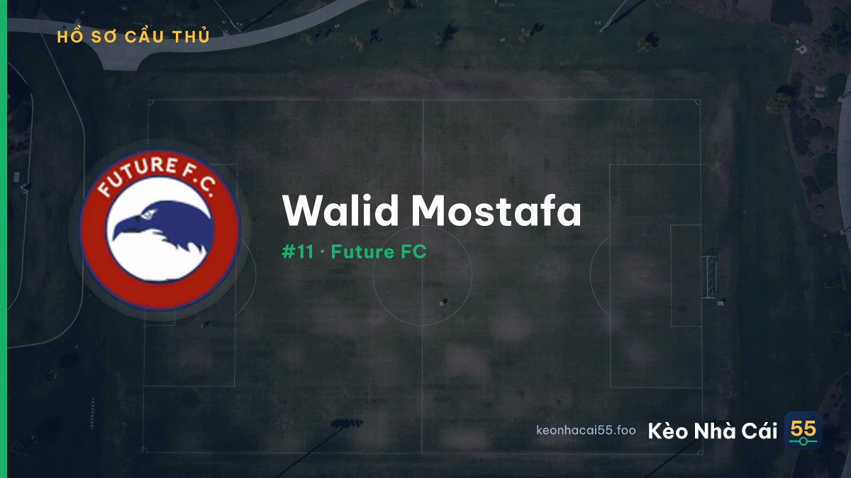 Walid Mostafa — Future FC