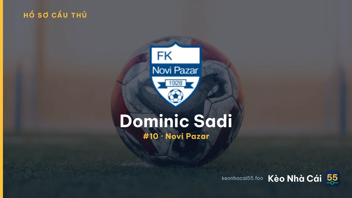 D. Sadi — Novi Pazar