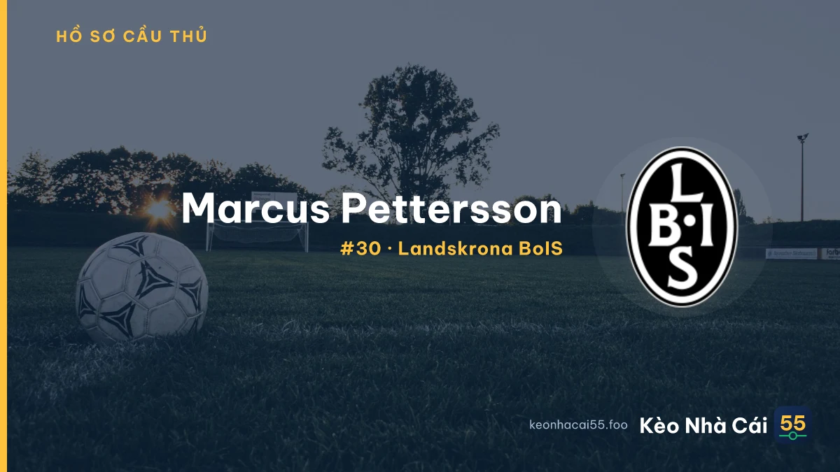 M. Pettersson — Landskrona BoIS